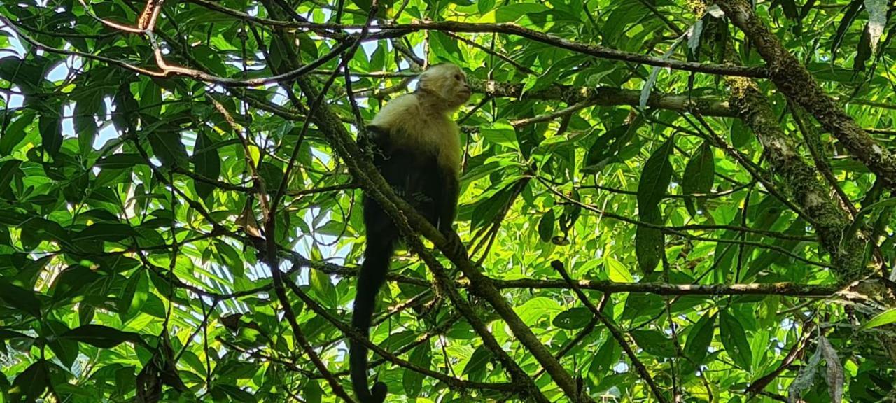 Arenal Hostel La Catarata La Fortuna ภายนอก รูปภาพ